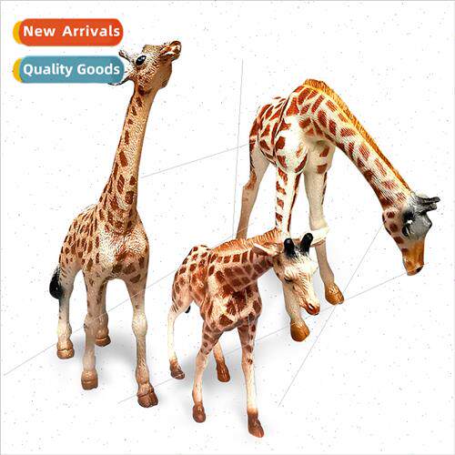 Zoo giraffe model solid static giraffe a family children enl