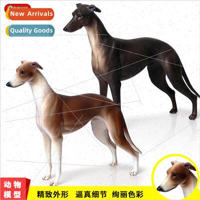 Static solid wildlife dog model Greyhound nty hunting dog pe