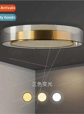 Scandinavian light luxury living room ceiling light master b