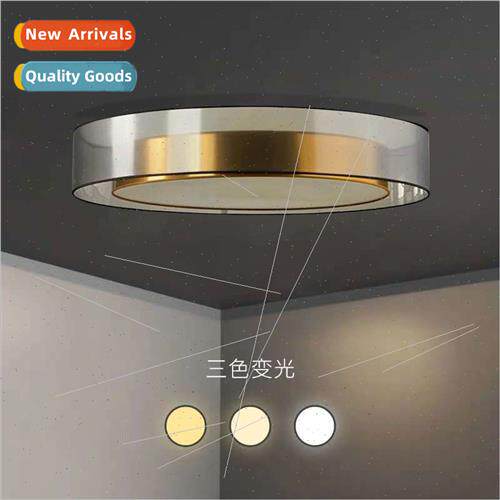Scandinavian light luxury living room ceiling light master b