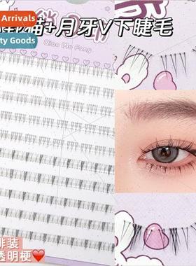 Wildcat Lower Eyelash Crescent V-shaped ten rows large capac