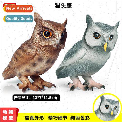 Science education simulation wildlife bird model flying bird