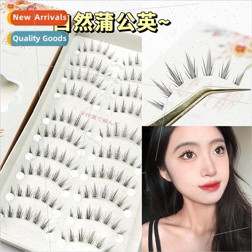 Dandelion Eyelash Imp False Eyelash 10 Pairs Volume Sharpeni