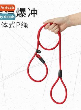 Dog leash explosion-propunch P chain dog walking leash anti-