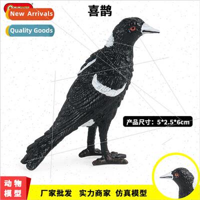 teaching aids simulation birds birds prey animal model magpi