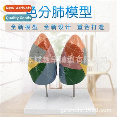 Color Segmentation ng Model Human ng Model Color Segmentatio