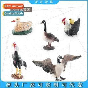 Duck Mother Fighting Cockerel Carr Model Hen Ornament