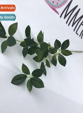 mulation Milan bean leaves wedding ceremony ceremony hall se