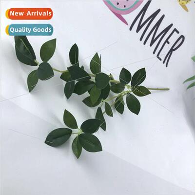 mulation Milan bean leaves wedding ceremony ceremony hall se