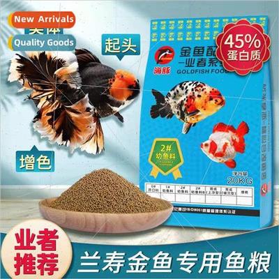 Dolphin Lanshou goldfish feed Thai lion gilt lion head goldf