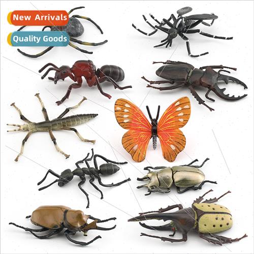 Rowan Bugs Big Tussock Bugs Butterfly Bamboo Bugs Ants Spide