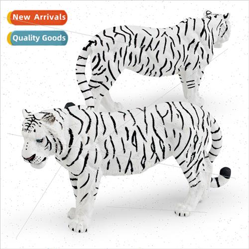 Solid static wildlife whe male tiger children science educat