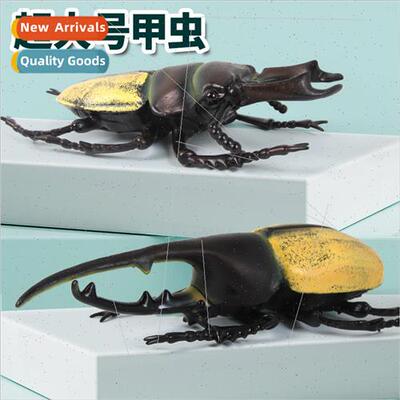 Beetle Model Toys Desk Decoration Realistic Big Beetle Toys
