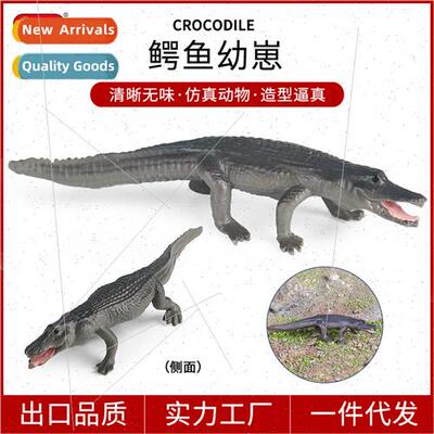 cognive solid trumpet crocodile cub model le crocodile emper