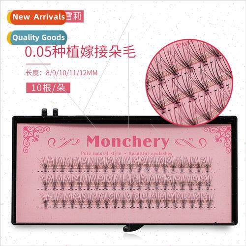 Eyelash Extensions Soft Duo Hair 0.05 Thick ngle Cluster 10