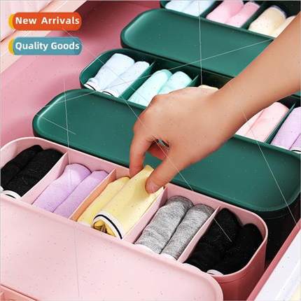 5 compartments underwear organizer pull-out compartment 适用