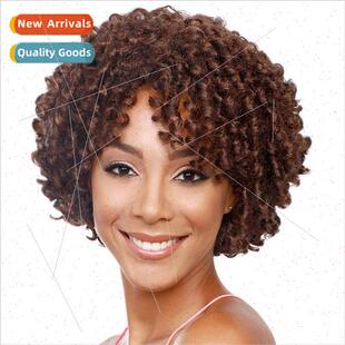 Europe Afro Wig Women Short Curly Hair Fluffy Head African