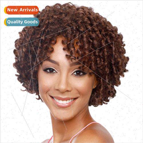 Europe Afro Wig Women Short Curly Hair Fluffy  Head African