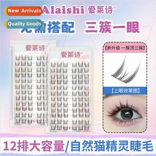 Cat Wizard ngle Volume Clu Stem Natural Hard Large Segmented