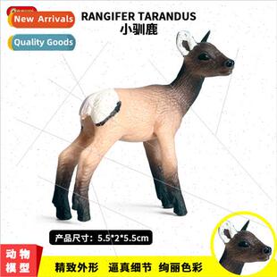Animal deer model wild static solid small reindeer plastic t