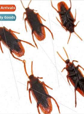 Spoof scary simulation cockroach realistically whole person