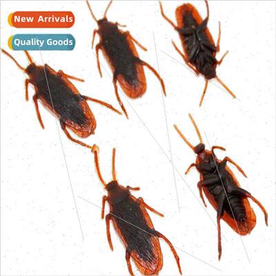 Spoof scary simulation cockroach realistically whole person