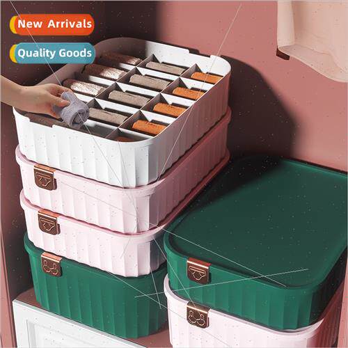 Underwear Storage Box Home Closet Multifunctional Drawer Sto