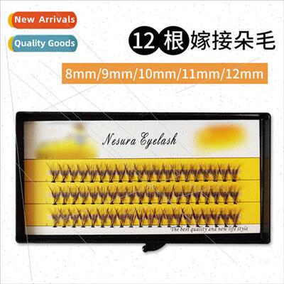 Scarecrow 12 planted extensions false eyelashes 0.1 coarsene