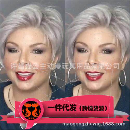 Europe fashion handsome wig short hair female short gray sho