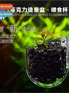Bishui Fenghe Acrylic Red Worm Cup Aquascape Tank Red Worm N