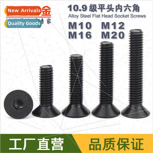 M10 M12 M16 M20 flat cup 10.9 grade black flat socket head c