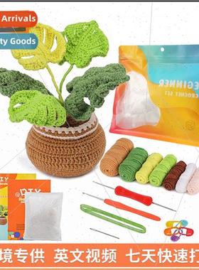 Handmade Woolen Knting Turtleback Bamboo Potted Plant Materi