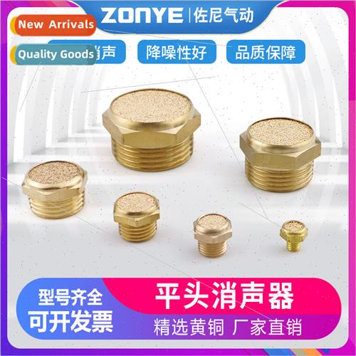 Pneumatic solenoid valve BSL copper flat muffler PSV-01 one