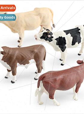 mulation farm animal cow model Flavich bull Charolais cattle