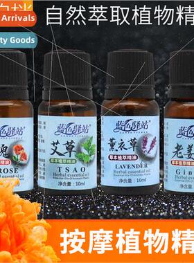 Wormwood Rose Ginger Essential Oil Whole Body Meridian Massa