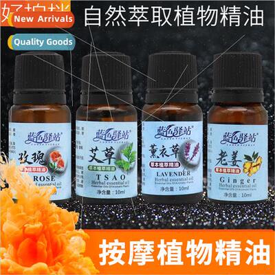Wormwood Rose Ginger Essential Oil Whole Body Meridian Massa