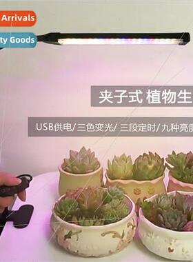 Full spectrum LED plant light succulent pot plant grow fill