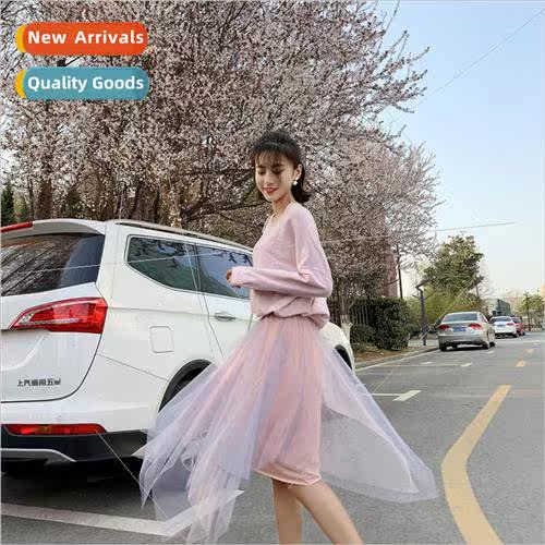 Irregular mesh half-body skirt spring women 2019 new medium-