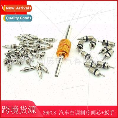 36PCS Box Auto A C R12 R134a Refrigeration Valve Core+Auto V