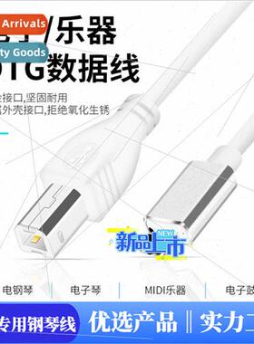 适用Applenew system ios14 electronic piano drum OTG adapter