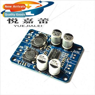 Digal Amplifier Module TPA3118 PBTL Mono Digal Amplifier Boa