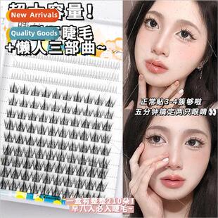 V-Shaped Lower Lashes + Lazy Trilogy Lash Book Extra-large 1