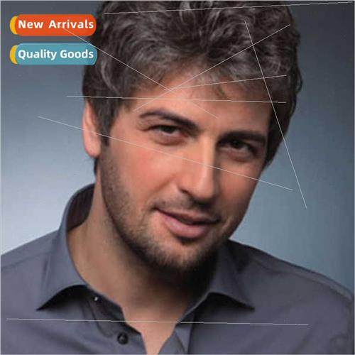 Europe wigs popular men middle-aged wig short hair rose net