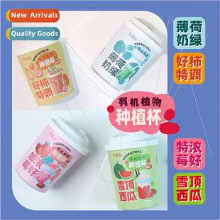 Spring wild at home manzana flower small potted plants offic