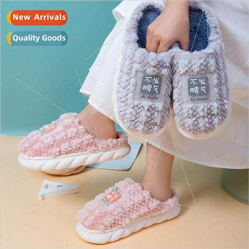 New female winter cotton slippers home indoor male couple th