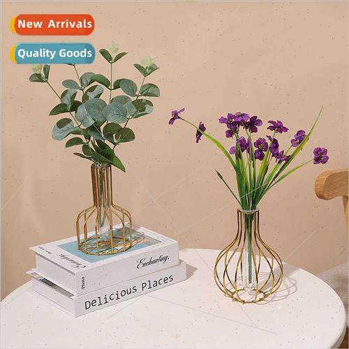 Golden Iron Transparent Vase Flower Arrangement Hydroponic C
