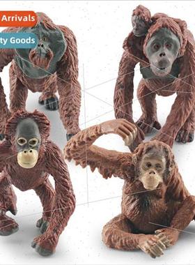 Wildlife Orangutan Model Borneo Orangutan Static Sandbox Dec