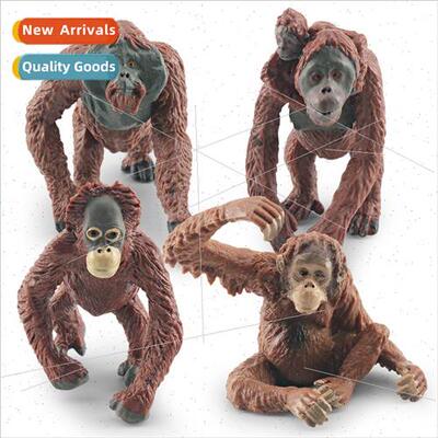 Wildlife Orangutan Model Borneo Orangutan Static Sandbox Dec