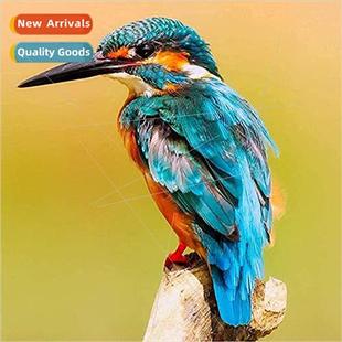 DIY Bird Full Cross Handmade New mple Thread Stch