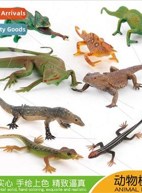 wild amphibian lizard chameleon model creative compulsion to